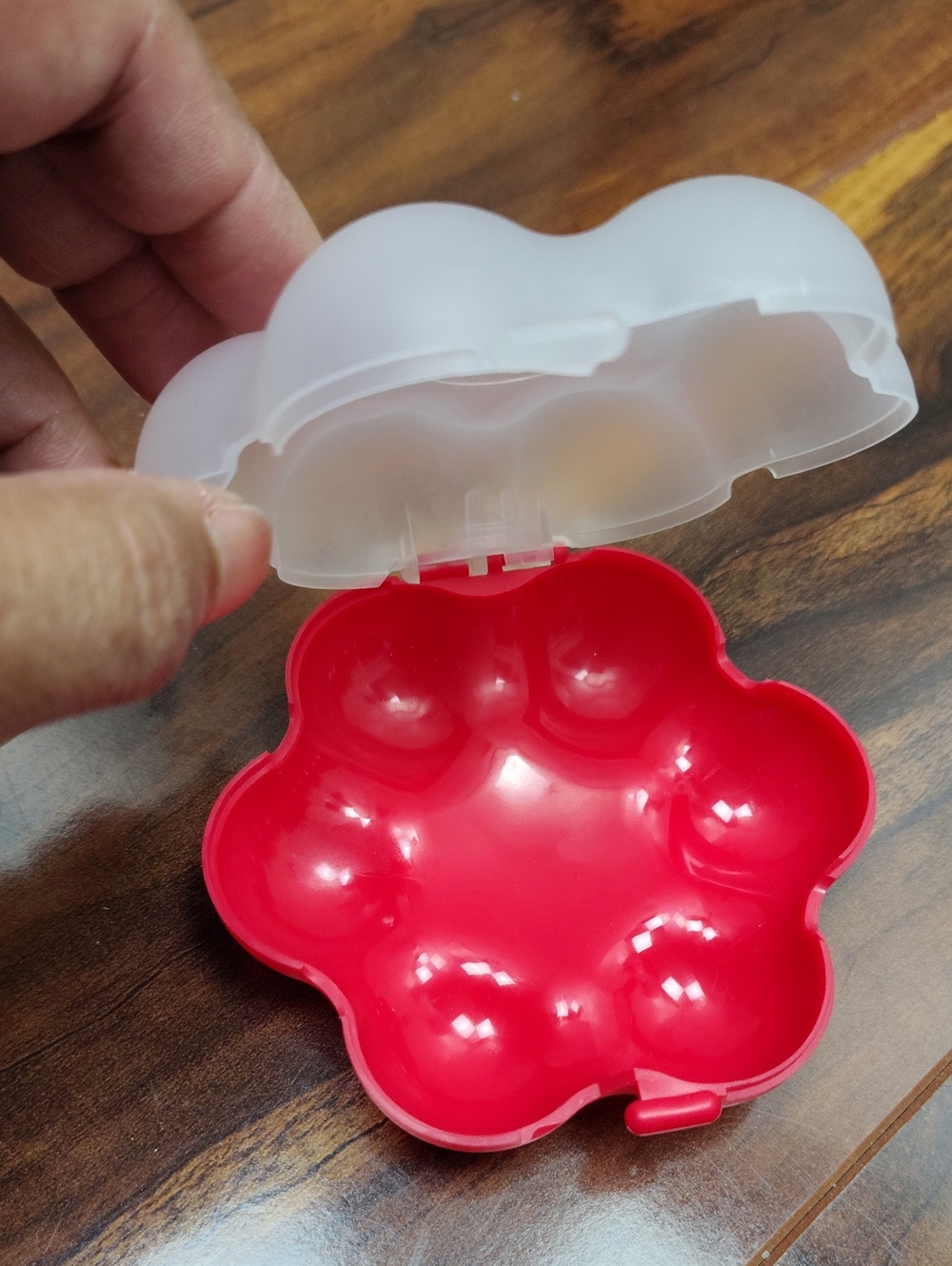Sunset Plastic Tomatoes Container, Tomato Guard, Vegetable Container